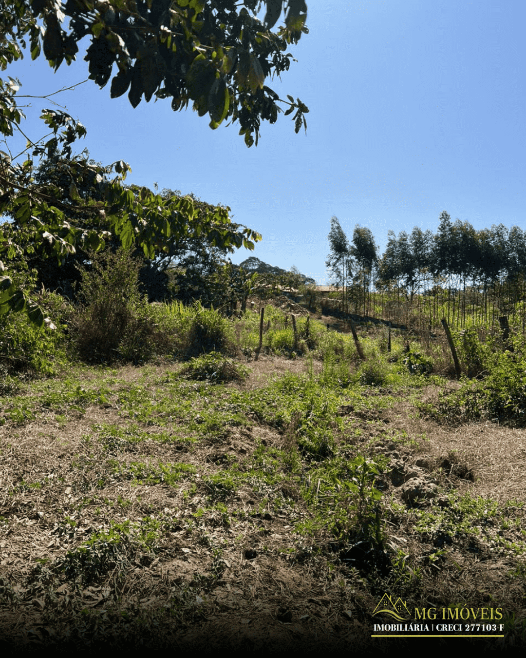 CHÁRA 3KM DE BES-SP