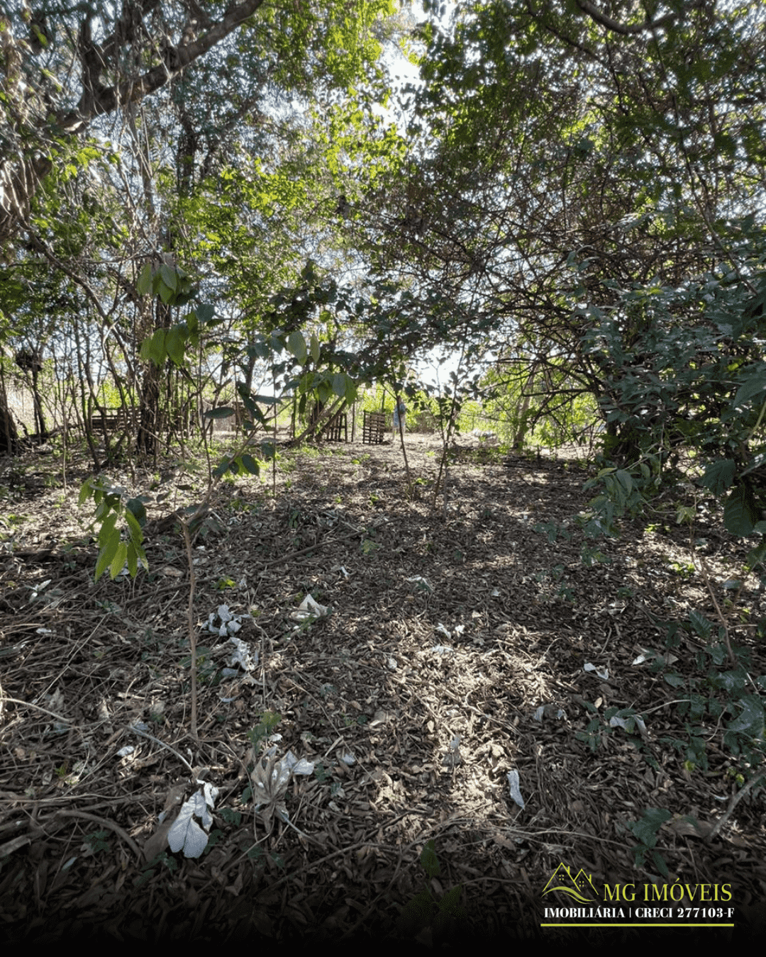 CHÁRA 3KM DE BES-SP